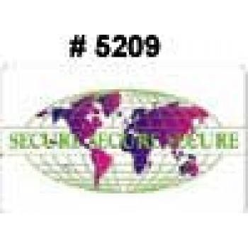 Holographic Security Overlay-Credit Card size - 100 Pack